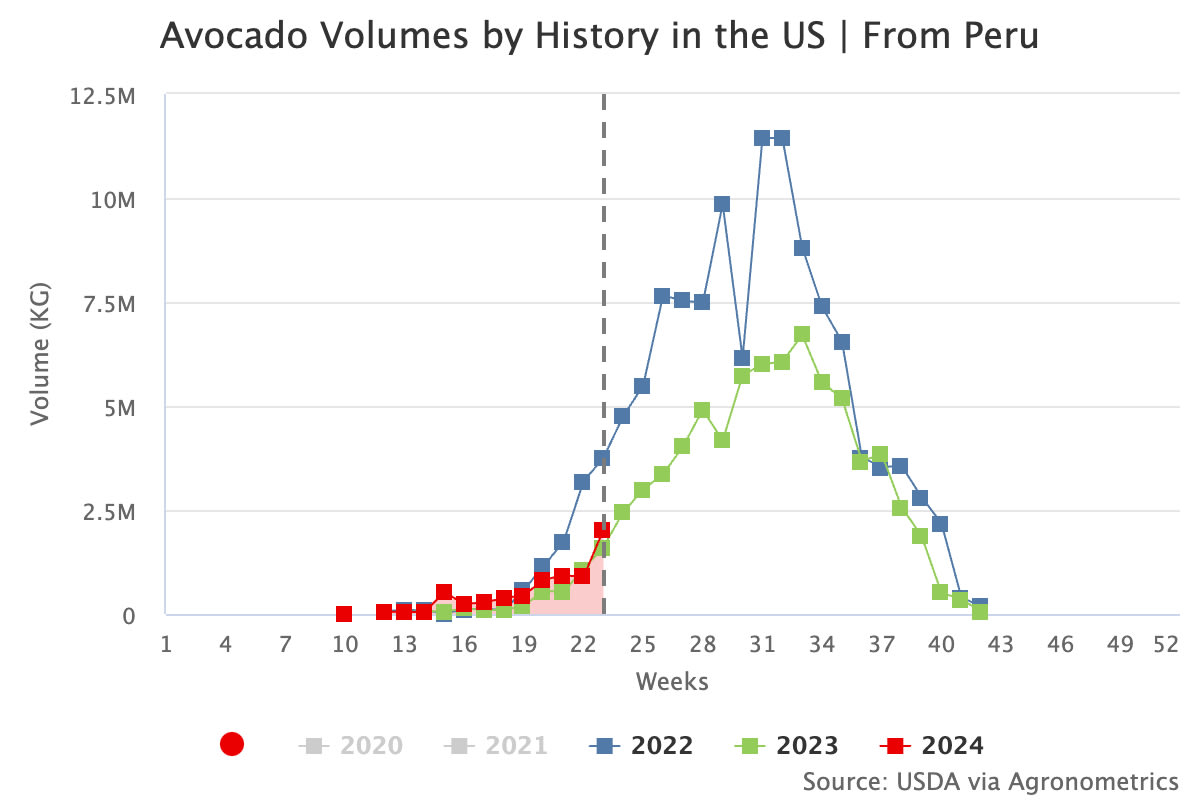 avocado volumes by histo 24